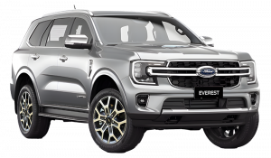 Everest Limited 2025